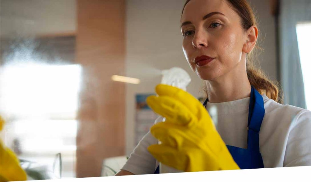 female housekeeper cleaning services north-west Vancouver